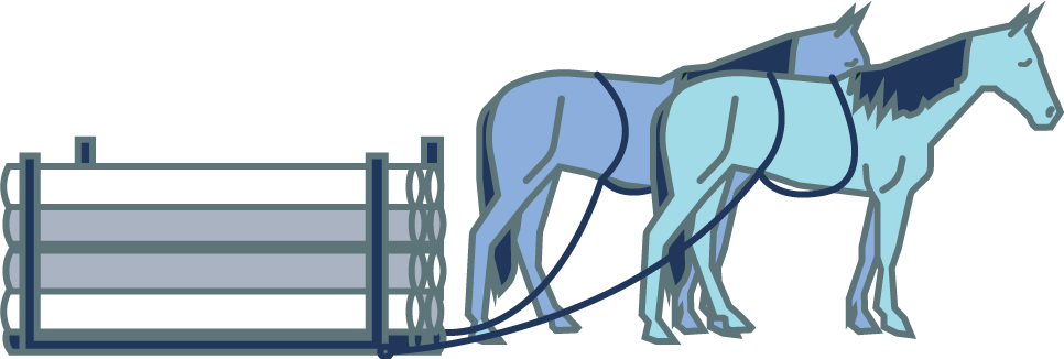 Horses